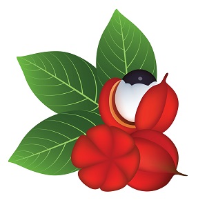 Food Intolerance Study